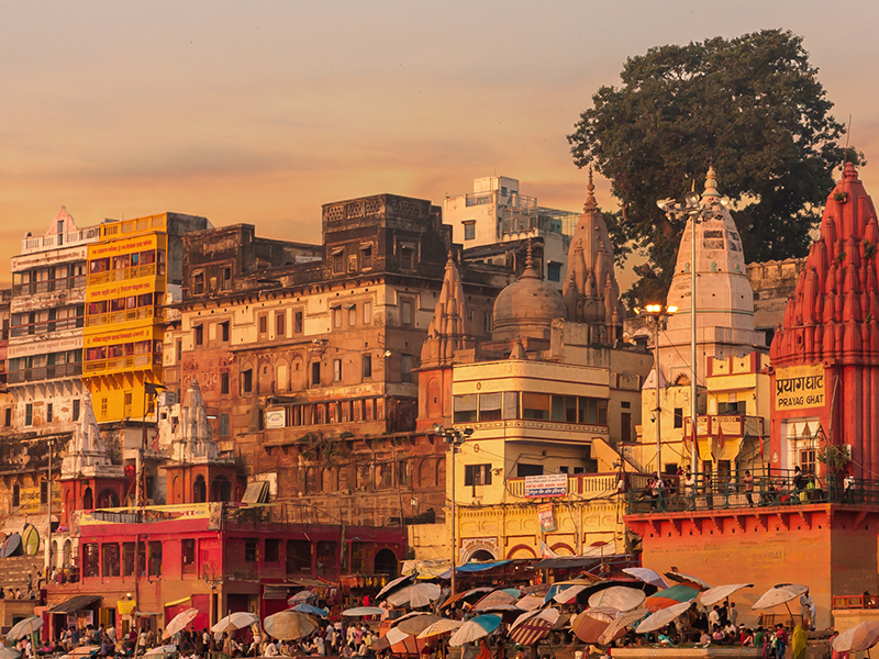 escorted tours of india and nepal
